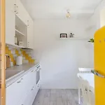 Yellow Studio Paupys Vilnius