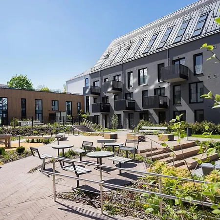 Yellow Studio Paupys