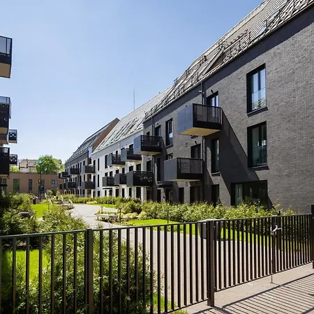 Yellow Studio Paupys Vilnius