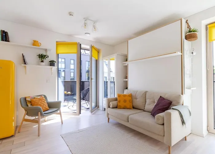 Yellow Studio Paupys