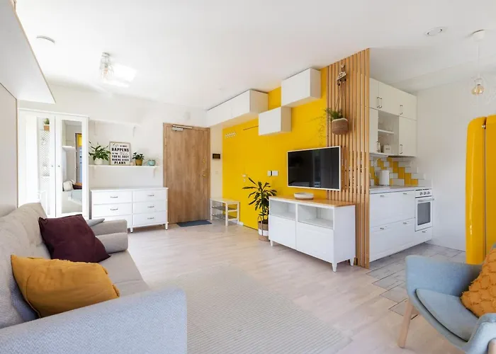 Yellow Studio Paupys