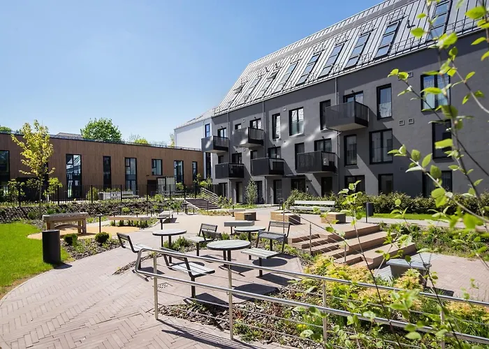 Yellow Studio Paupys