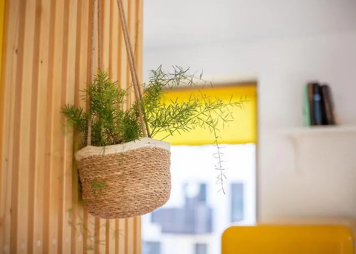 Yellow Studio Paupys Appartement